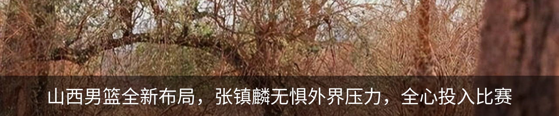 资讯动态