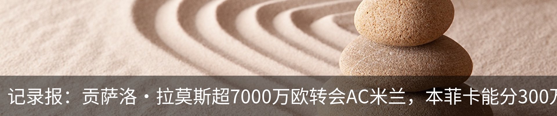 资讯动态